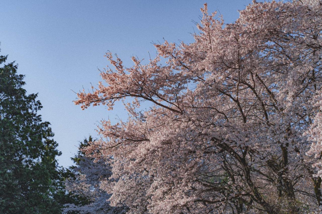Kominkayado Loof Sakanoie Fuefuki Buitenkant foto