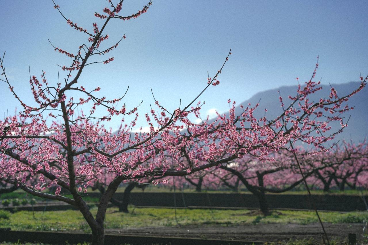 Kominkayado Loof Sakanoie Fuefuki Buitenkant foto